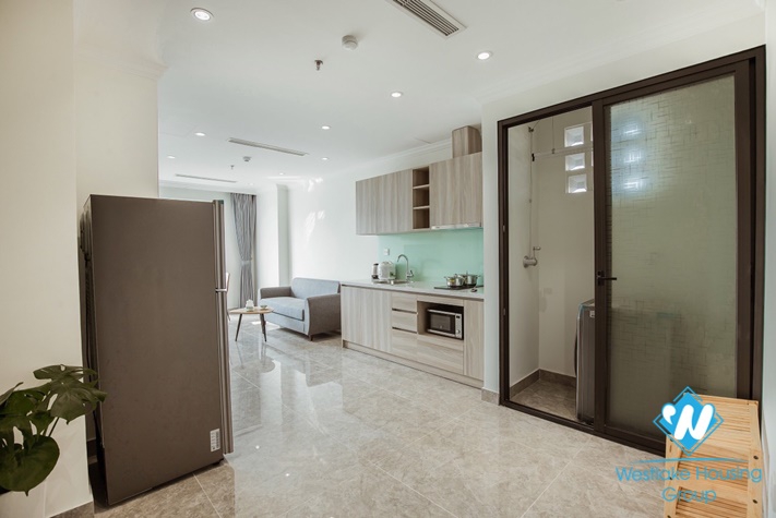  Spacious one bedroom apartment for rent in, Ngoc Ha, Ba Dinh district 